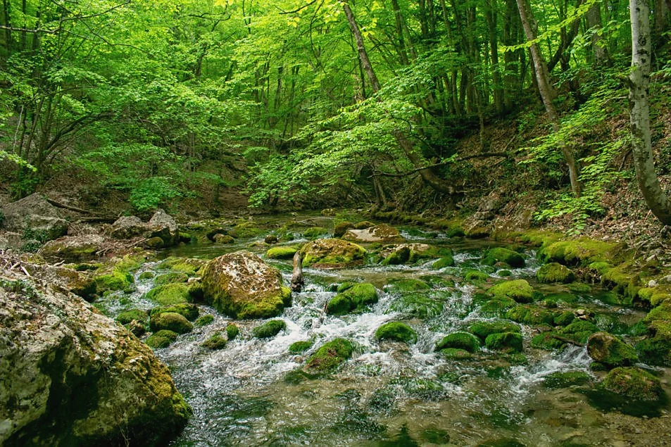 Ручей в Большом каньоне