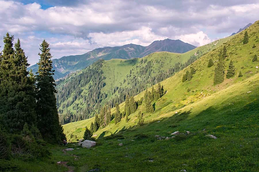 Луговой склон