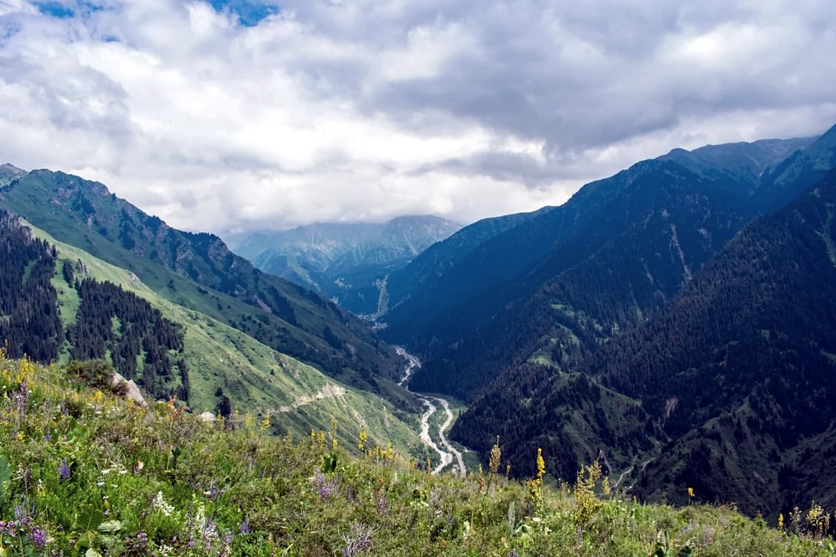 Зелёные долина река
