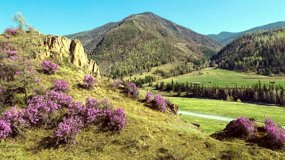 Майский Алтай – главный кадр